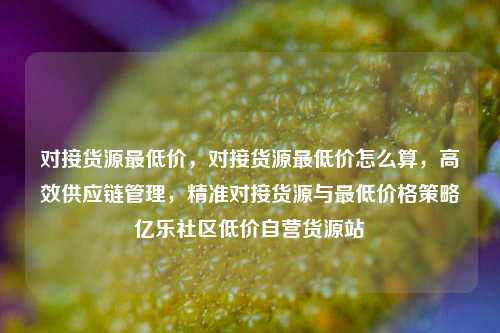 对接货源最低价，对接货源最低价怎么算	，高效供应链管理，精准对接货源与最低价格策略亿乐社区低价自营货源站  第1张